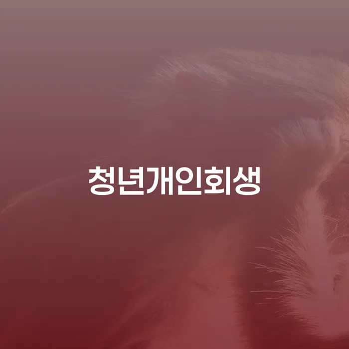 개인회생신청 대출 연체 개인회생 상담을통해