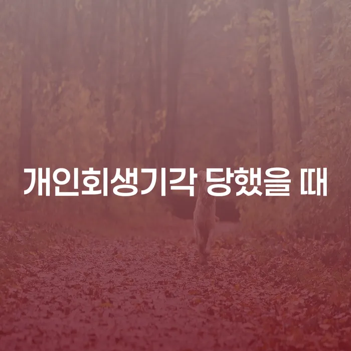 개인사업자회생 개인회생 처리방법 노하우