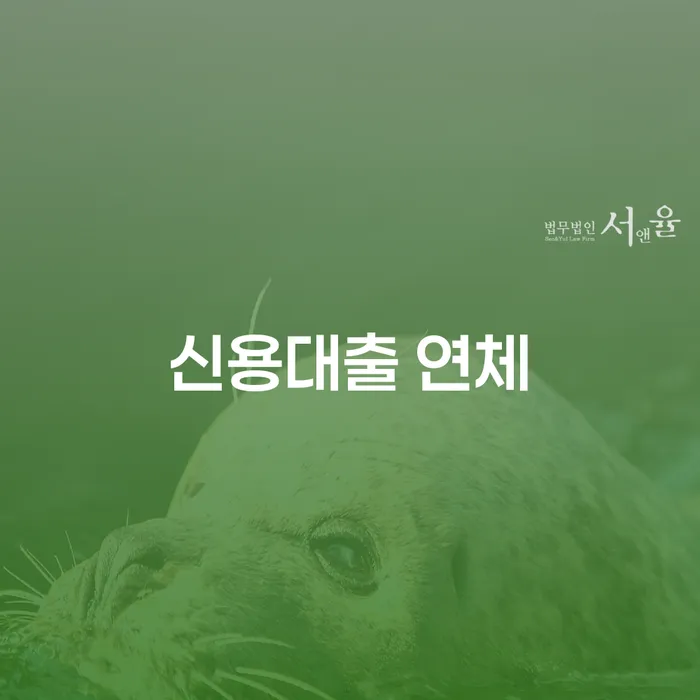 개인회생수임료 분납가능하고 개인회생,개인파산으로 확실한 진행