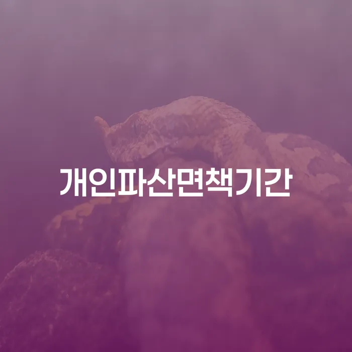 개인회생사건번호조회 개인회생으로 해결방법 살펴보세요