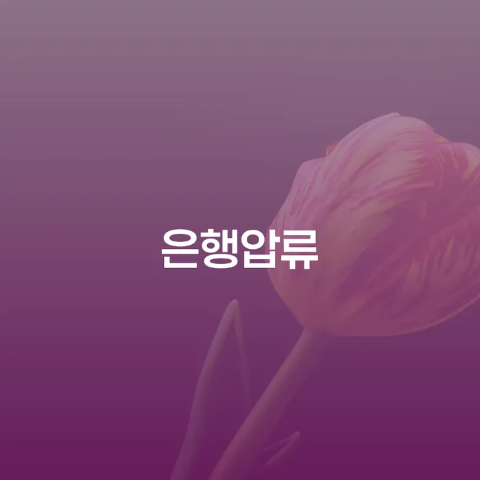 상주시 개인회생재산 신용회복 진행할 때 꼭 알아야 할