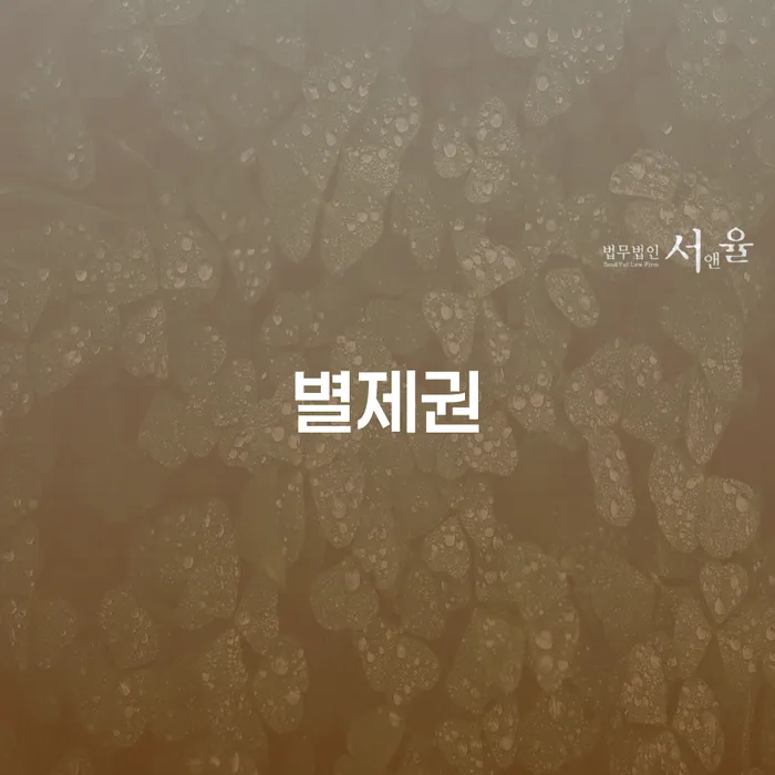 영천시 개인회생 변호사 비용 무이자 자체 분납 가능하고 추심 대응법 확인하자