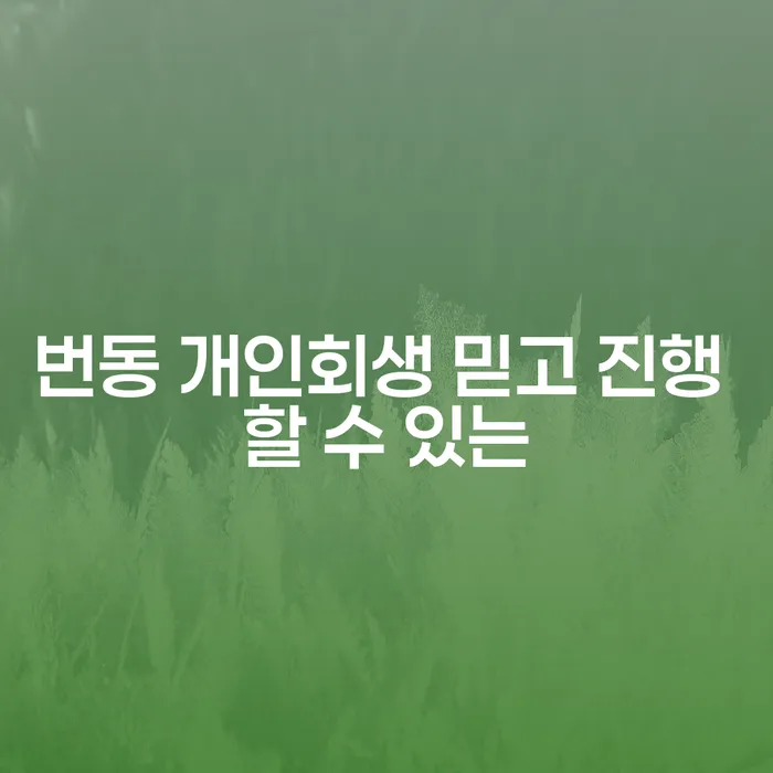 번동 개인회생 믿고 진행 할 수 있는