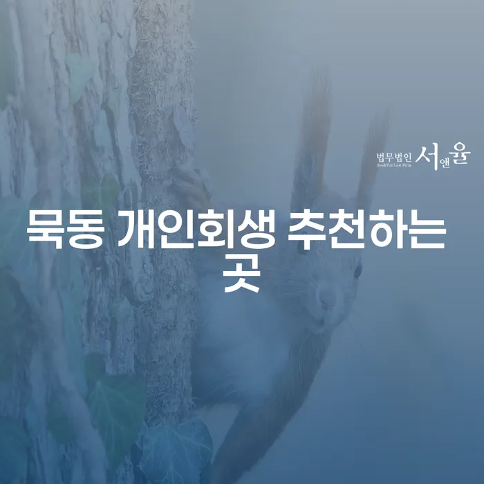 묵동 개인회생 추천하는 곳