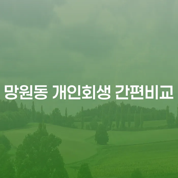 망원동 개인회생 간편비교