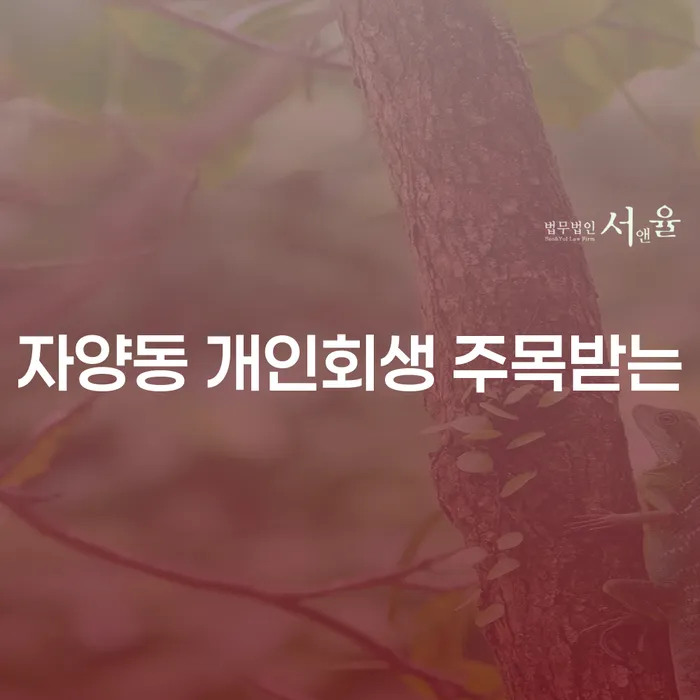 자양동 개인회생 주목받는