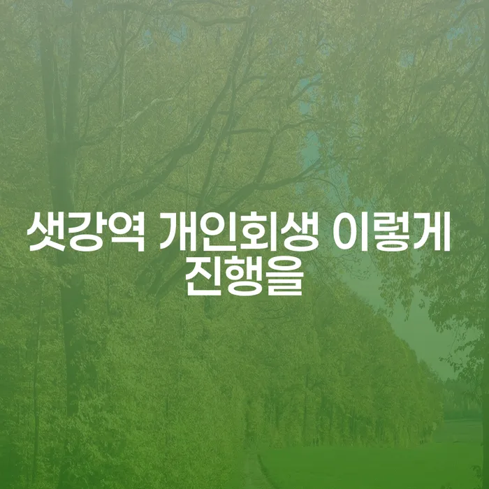 샛강역 개인회생 이렇게 진행을
