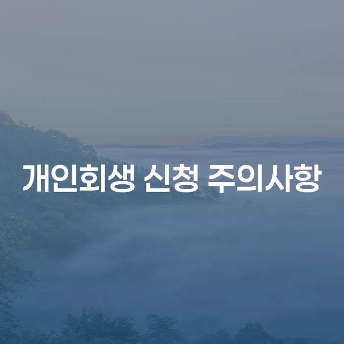 개인회생 신청 시 주의해야 할 사항은 무엇일까요?