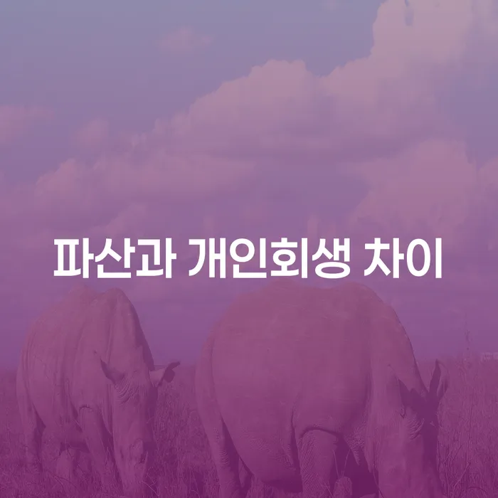 개인회생과 파산: 무엇을 선택해야 할까요?