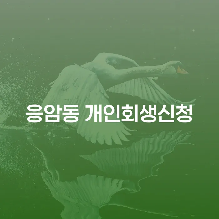 응암동 개인회생신청, 어떻게 시작해야 할까?