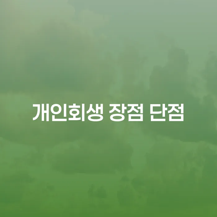일원본동 개인회생의 장단점과 절차
