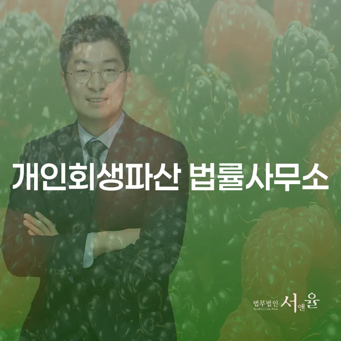 개인회생과 개인파산을 통한 경제적 재기
