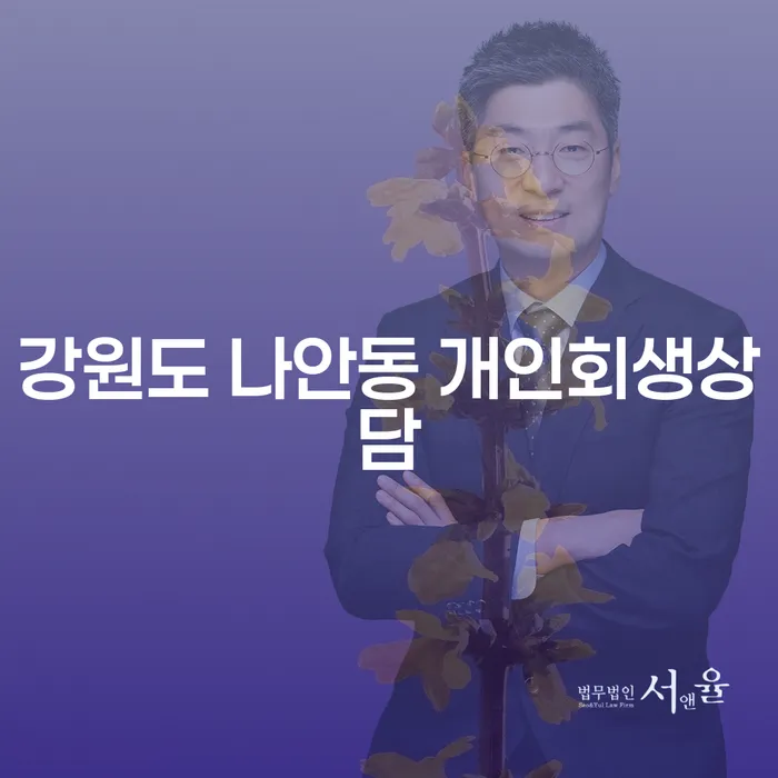 강원도 나안동에서 개인회생상담을 받으시겠습니까?