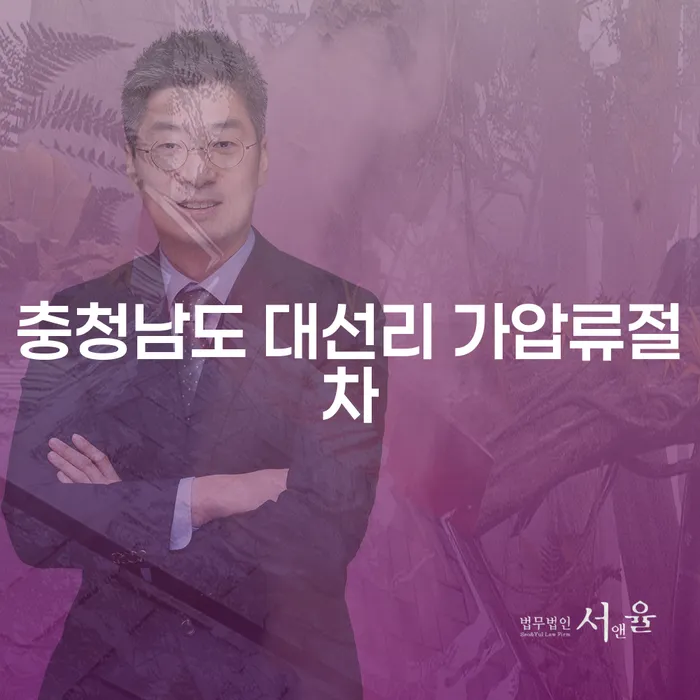 충청남도 대선리 가압류절차, 계좌압류 해결 방법이 궁금하신가요?