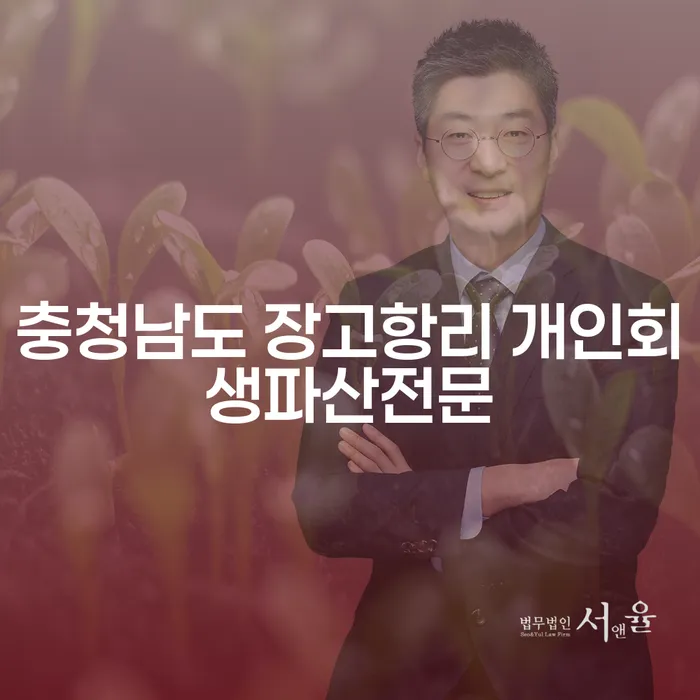 충청남도 장고항리에서 개인회생과 개인파산 신청, 어떻게 시작할까요?