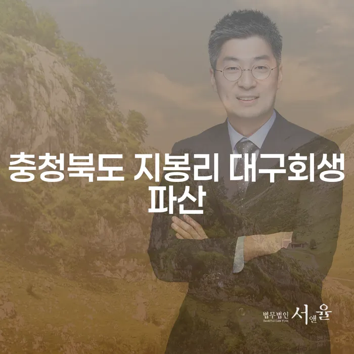 충청북도 지봉리에서 대구회생파산을 고려해야 하는 이유는 무엇일까요?
