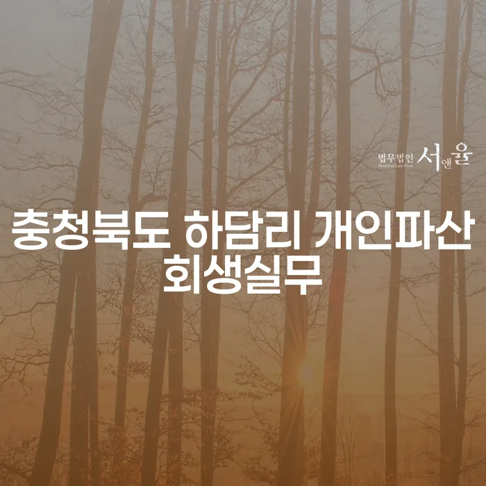 충청북도 하담리에서 개인파산과 회생신청, 어떻게 해야 할까요?
